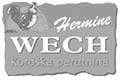 Wech logo
